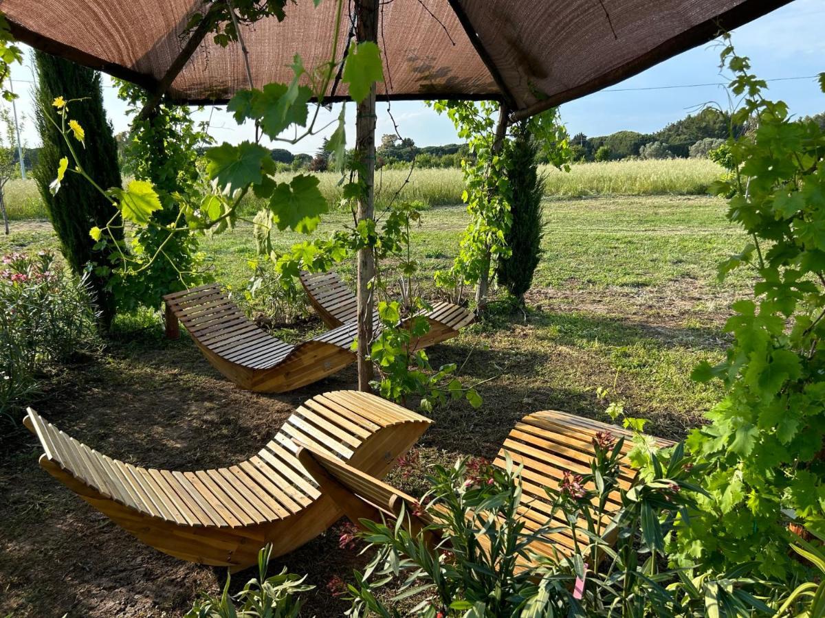 Fattoria Palazzeta - Pet & Family Friendly Aparthotel Cecina  Exterior foto